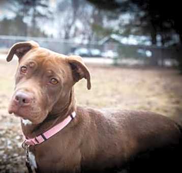 Photo of Louise