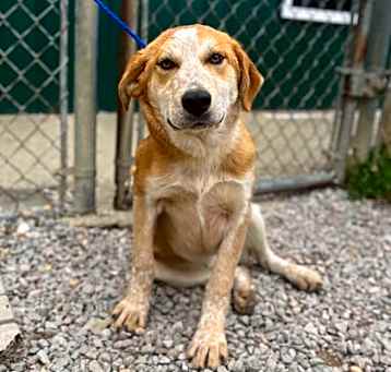 Photo of Slinky