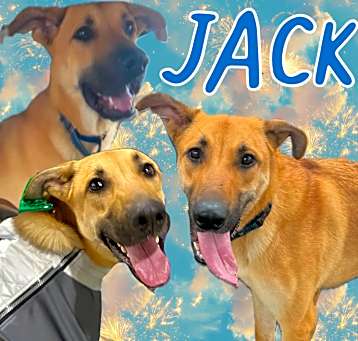 Photo of Jack