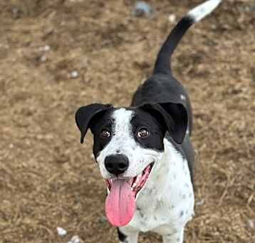Photo of Zephyr
