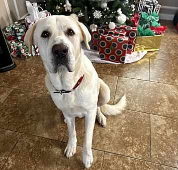 Photo of Max