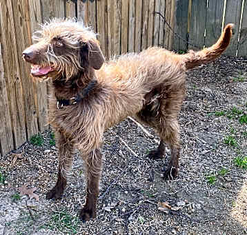 Photo of ARCHIE