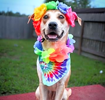Photo of Penelope Sparkles for you