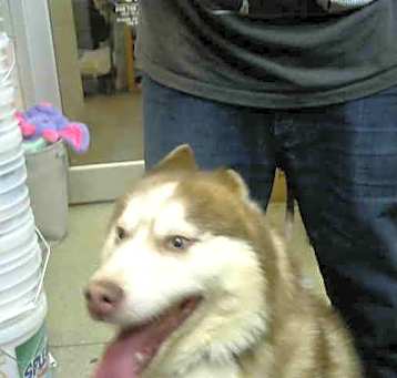 Photo of CODA