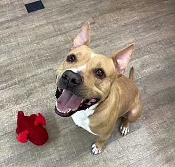 Photo of Maximus