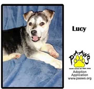 Photo of Lucy