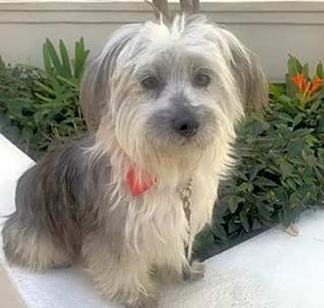 Photo of ELODIE