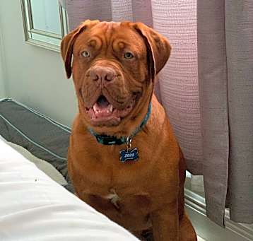 Photo of Zeus
