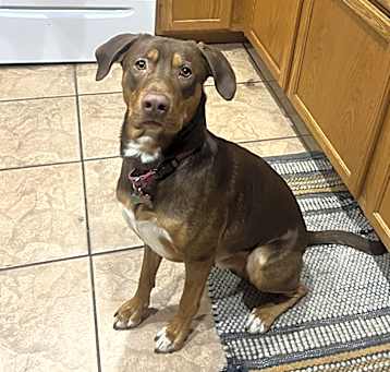 Photo of Duke