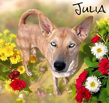 Photo of Julia