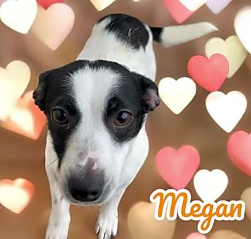 Photo of Megan