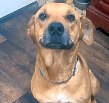 Photo of Libby