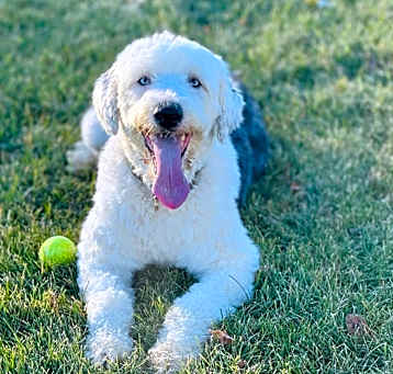 Photo of Elsa