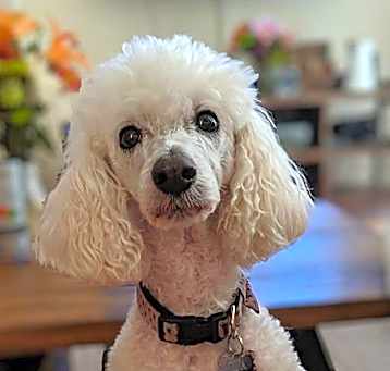 Photo of Tina