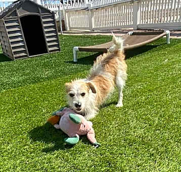 Photo of Hutch