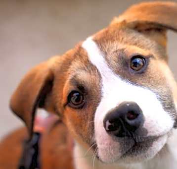 Photo of Marlo