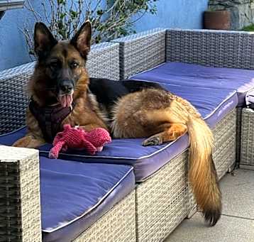 Photo of CARMELA