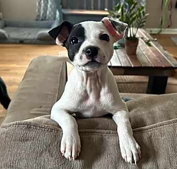Photo of Penelope