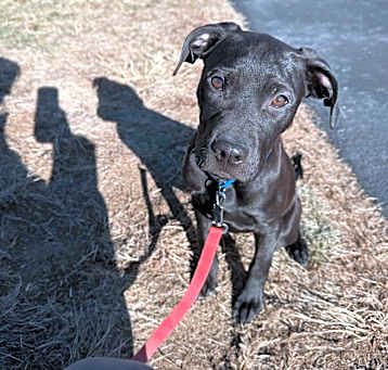 Photo of REMINGTON