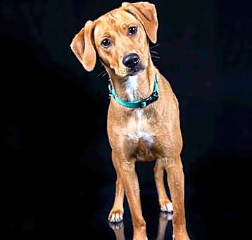 Photo of Annie