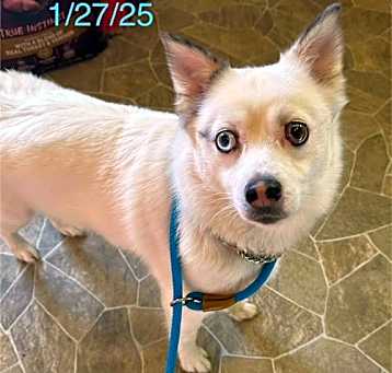 Photo of Sailor