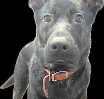 Photo of Zeke