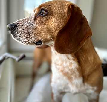 Photo of Brinks