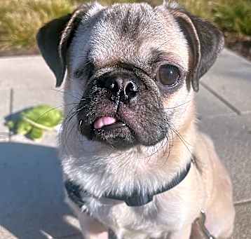 Photo of Winston