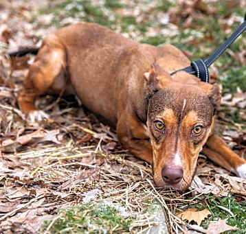 Photo of Gretel