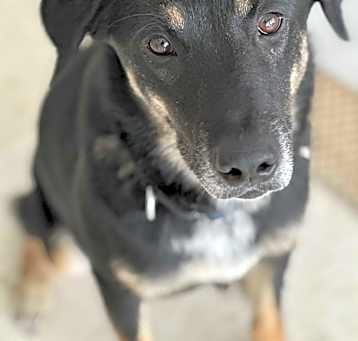 Photo of Cash