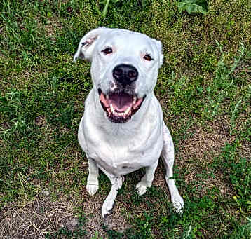Photo of Rowdy