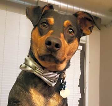 Photo of Ezra