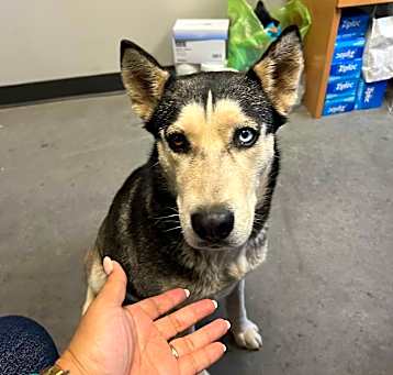 Photo of Nakita