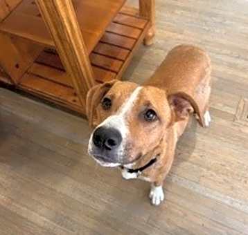 Photo of Clementine