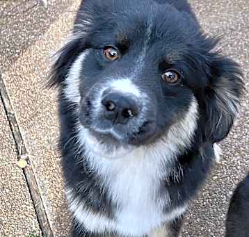Photo of JETT
