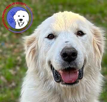 Photo of Fiona