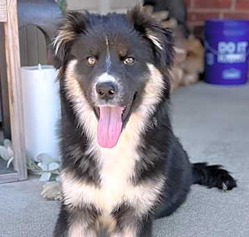 Photo of JETT
