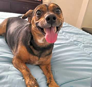 Photo of Cali