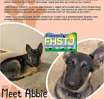 Photo of Abbie