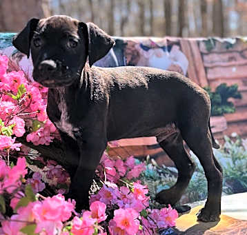 Photo of Axel ~ meet me!