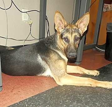 Photo of HEIDI