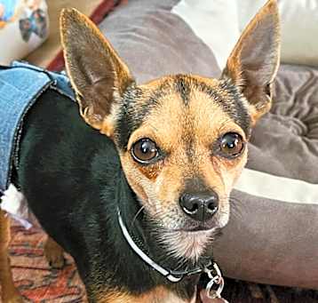 Photo of Rudy