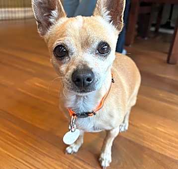 Photo of Lola