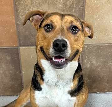 Photo of Tink