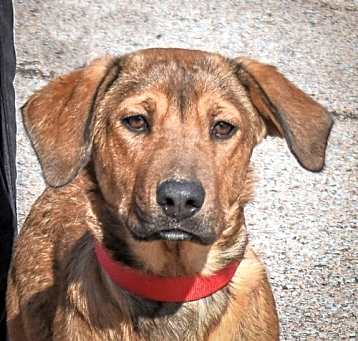 Photo of Archer