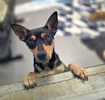 Photo of Chloe