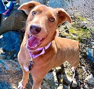 Photo of Maggie