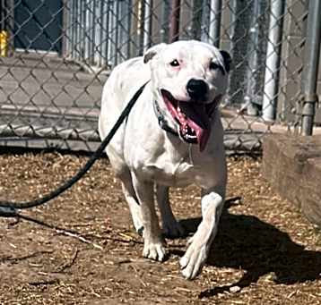 Photo of Dottie