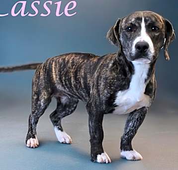 Photo of Cassie D25-038