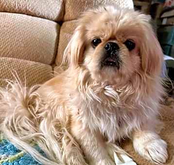 Photo of Thor
